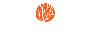 Thallos | Cave House & Apartments